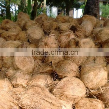 Indian coconuts for sales