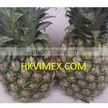 Fresh Queen Extremly Sweet Pineapples