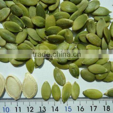 Chinese Pumpkin Kernels