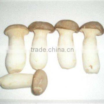 Fresh King Oyster Mushroom