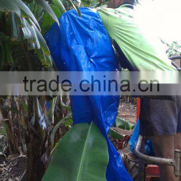 Wholesale Fruit Protection Bags