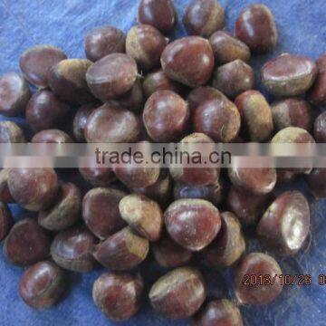 price chestnuts of 2013