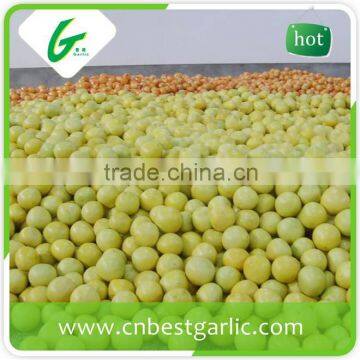 Fresh Sweet Honey Pomelo in Box photo-5