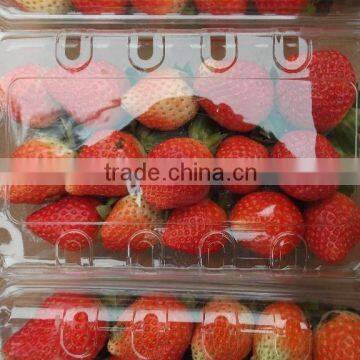 Egyptian Frozen Strawberry photo-5
