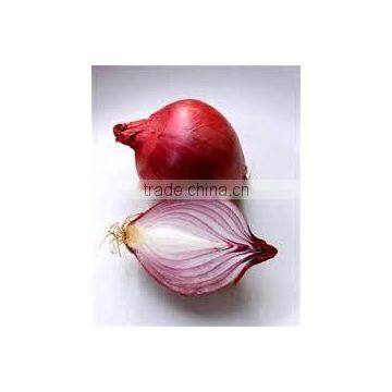 Market Price For Red &Yellow Onion