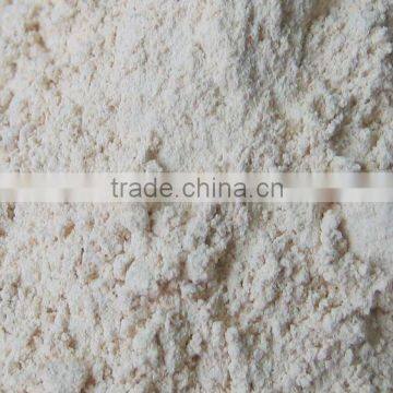 Fresh Hot Sell Top Quality Dehydrated Bulk Garlic Powder photo-3