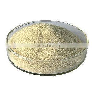 Food Grade Sodium Alginate photo-2