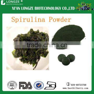 Best Quality And Lowest Price Spirulina Powder for Artemia with protein 60%