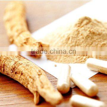 100% Natural Ginseng Polysacchride photo-2