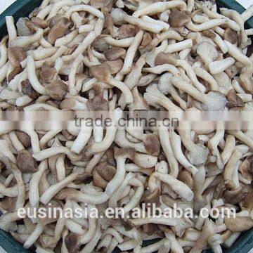 brined mushroom