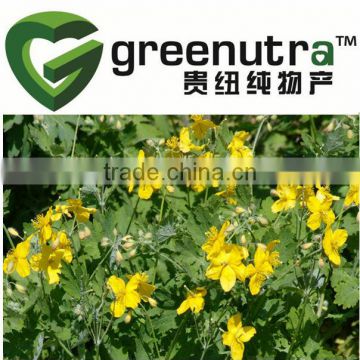 Chelidonine/Celandine Extract