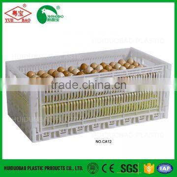 Live Chicken Crate and Ventilated Chicken Coop