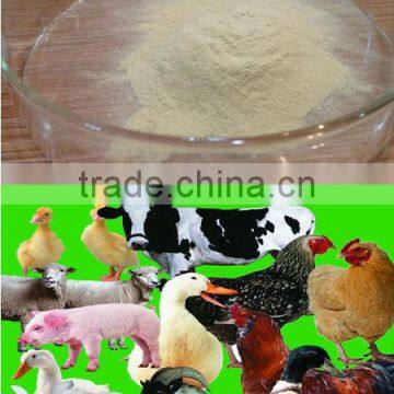 high protein animal feed