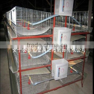 H Type Meat Chicken Cage From Manufacture