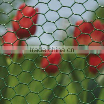 Plastic Chicken Wire Mesh Fence Netting for sale