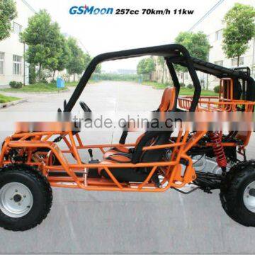 Powerfull New 250cc EEC go Kart With CVT System