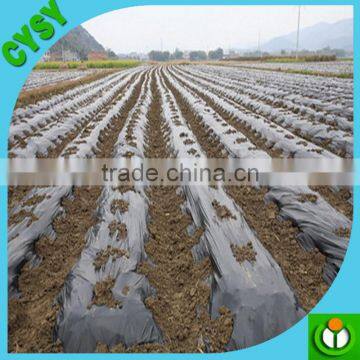 Henna Factory Supply Black Plastic LDPE Mulch Film Mulching Film for Agriculture photo-3