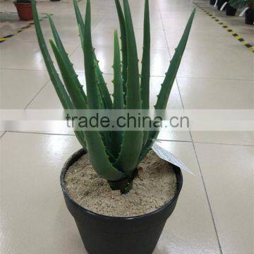 SJ30048946 Plastic Asparagus Plant/ Artificial Cactus Plant for Landscaping photo-2