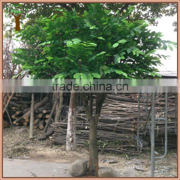 Artificial Lemon Tree for Weddings photo-3