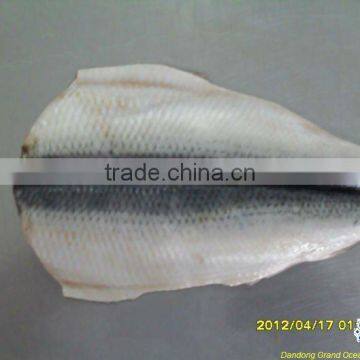 seafood frozen fresh herring fillet IQF