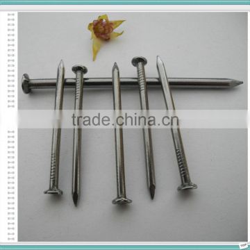 Electro Galvanized Common Wire Nail/Common Iron Wire Nails/Bright Common Nails Factory