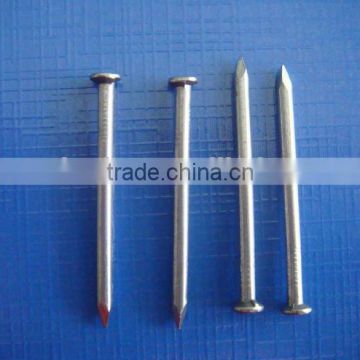 Common Nails Factory Common Wire Nail/Iron Nai