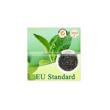 Premium Green Tea in Pallets photo-2