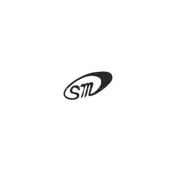 cangzhou shengshiweiye auto accessory co.,ltd