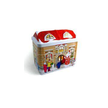 custom beautiful house shape tin box for cookies