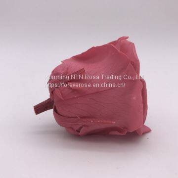 Top Quality Long Lasting Roses Real Preserved Roses Wholesale From Kunming Yunnan photo-3
