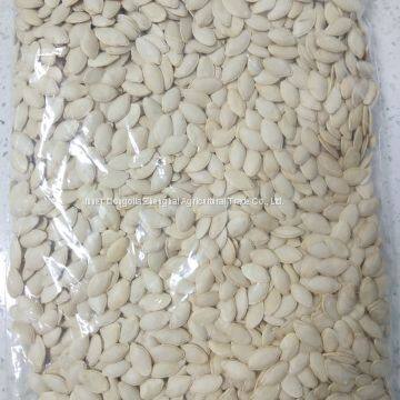 Shine Skin Pumpkin Seed