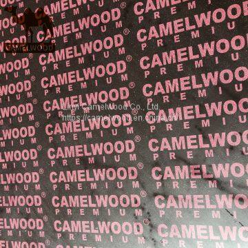 18mm Red Film Faced Plywood With Poplar Finger Joint Core Melamine Glue for Construction Concrete Formwork photo-3
