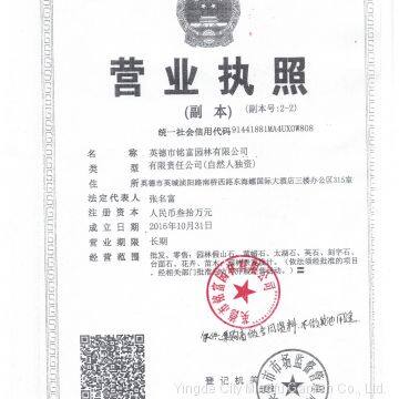 business license