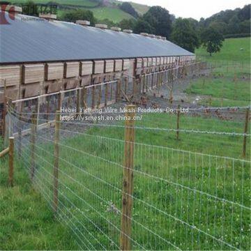 Hot-dipped Galvanized Field Fence, Cattle Field Fence Post, Galvanized Cattle Fence photo-4