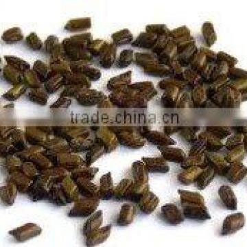 CASSIA TORA SEEDS NEW CROP