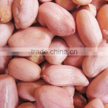 SPLIT BLANCHED PEANUT