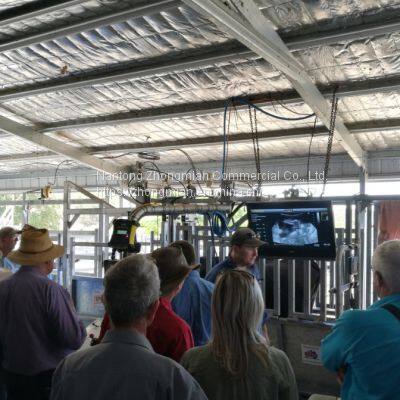 Animal Ultrasonic Detection Sets for Cow, Horse, Pets Etc. Palm Scanner photo-5