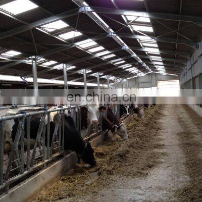 Prefab Cow Dairy Farm Housing Steel Building Cattle Cow Shed Dairy Farm Building prefabricated building house