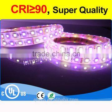 fine workmanship and promotional price 24volt led strip lighting