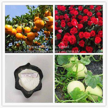 6ba Plant Rooting Hormone 6bap 6benzylaminopurin 99%tc photo-3