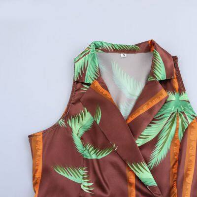 2025 Spring New Product European and American Style Women's Suit Collar Printed Sleeveless Dress for Women photo-3