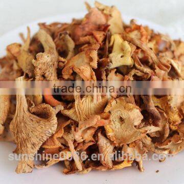 Wild Organic Dry Cantharellus cibarius mushroom / Chanterelle