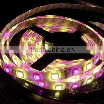 DC12V Dc24v SMD 5050 LED Strip RGBW photo-5