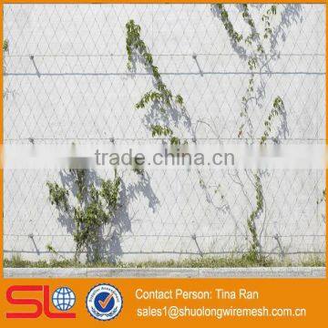 2mmx50mm Stainless Steel Rope Mesh Green Wall photo-4
