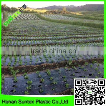 Suntex customized size and color blow molding mulch film/strawberry mulch film