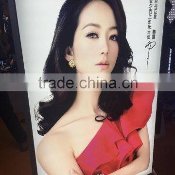 Outdoor Indoor Banner Eco-sovlent Ink UV Ink Printing Flex Advertisement Banner photo-2