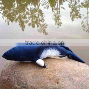 Cute toy Min Whale plush stuffed toy animal