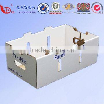 Anhui Factory Apple Fruit Packaging Boxes photo-3