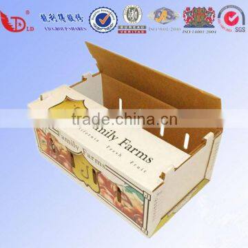 Anhui high quality custom corrugated fruit packaging box