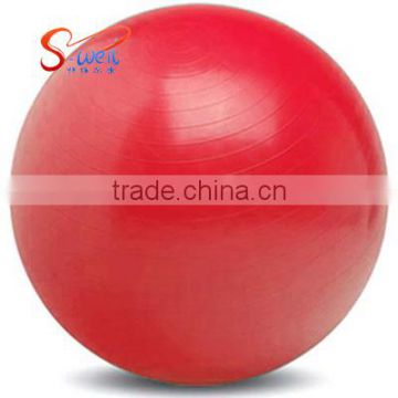 Pilates Exercise Ball